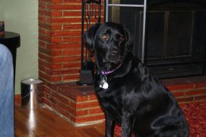 SaDee